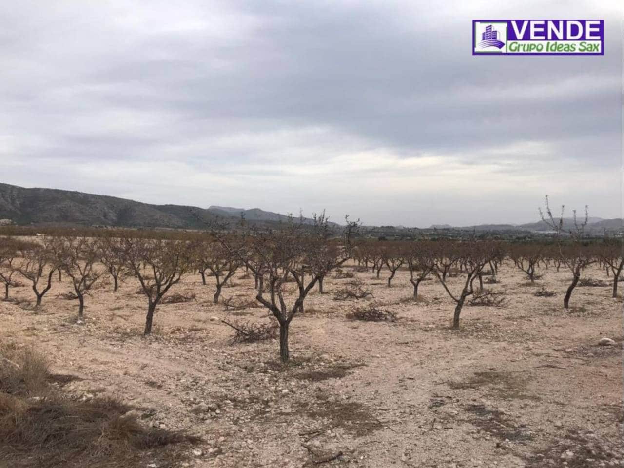 Finca/Landhuis te koop in Sax - € 225.000 (Ref: 6081958)