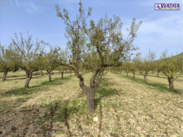 Undeveloped Land for sale in Sax - € 49,600 (Ref: 7180515)