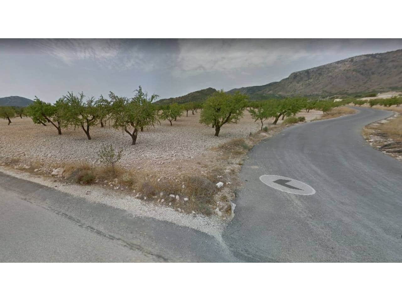 Terreno Non Edificato in vendita in Salinas - 40.500 € (Rif: 7414408)