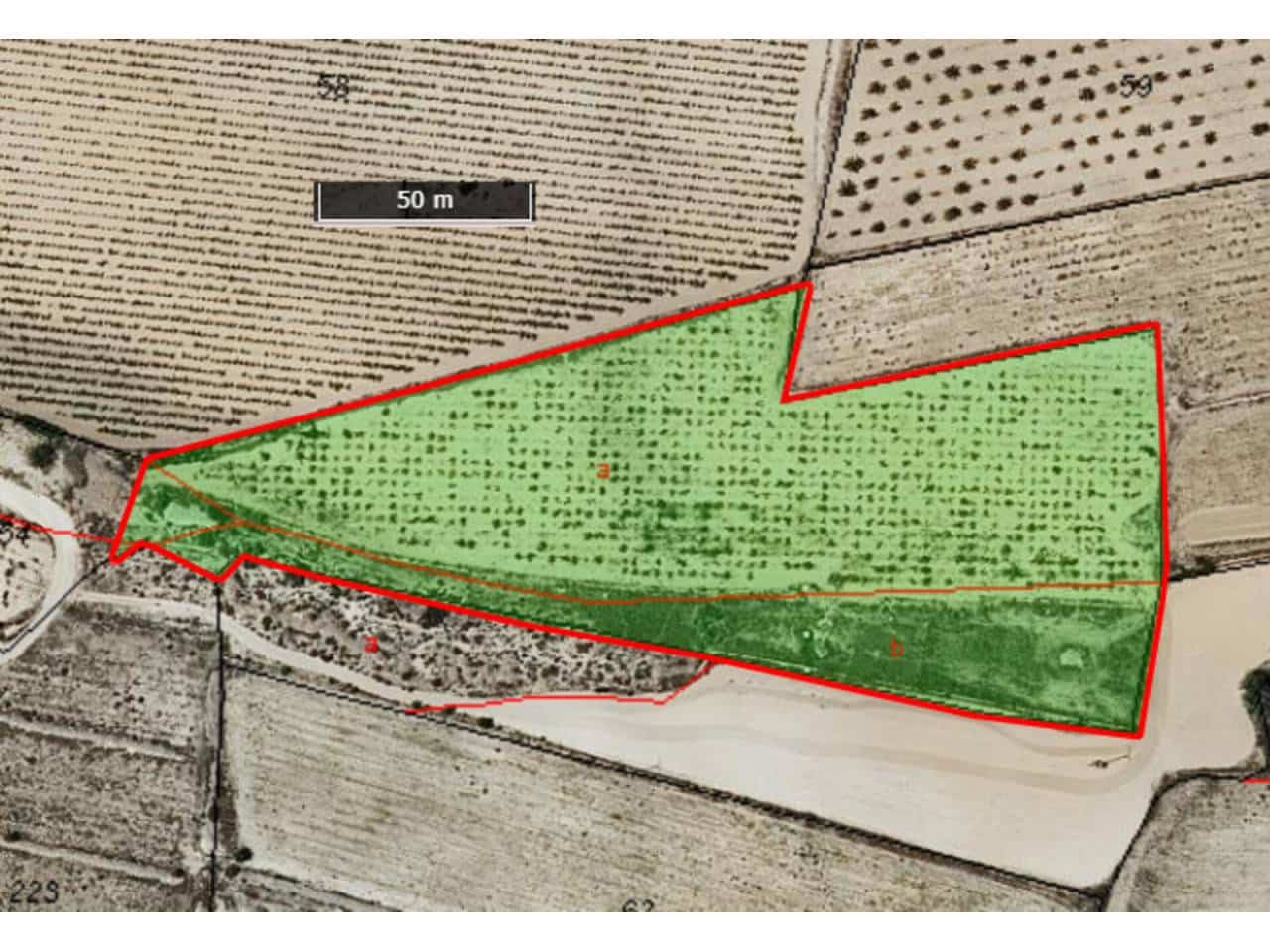 Landgrundstück zu verkaufen in Pinoso - 38.600 € (Ref: 7957146)