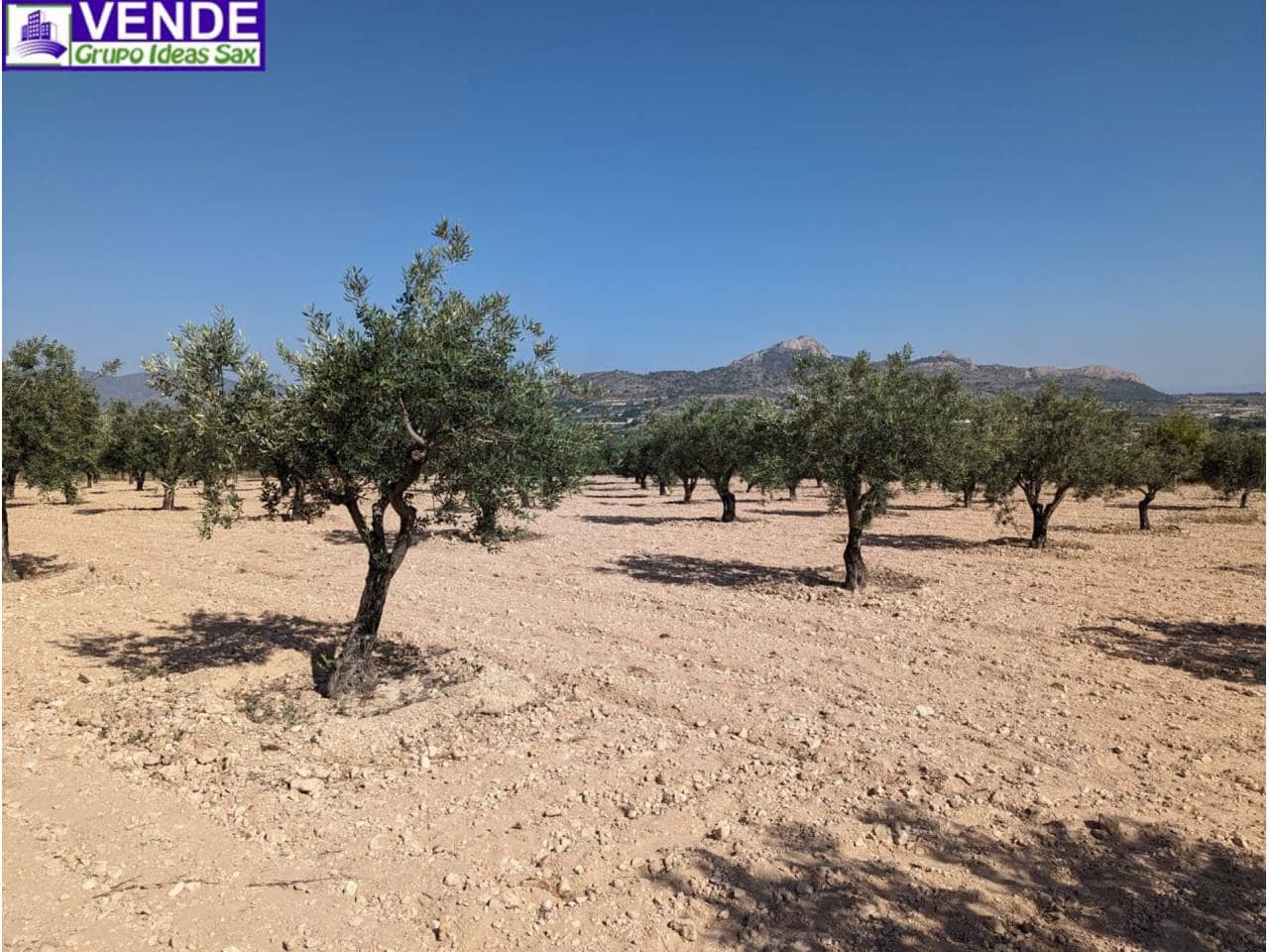 Finca/Herregård til salgs i Camara - € 84 000 (Ref: 8113460)