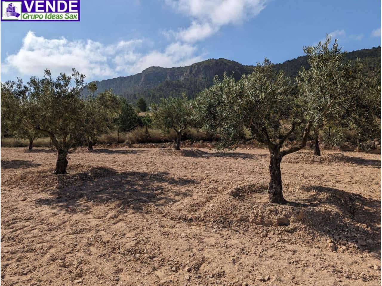 Finca/Herregård til salgs i Camara - € 84 000 (Ref: 8113460)