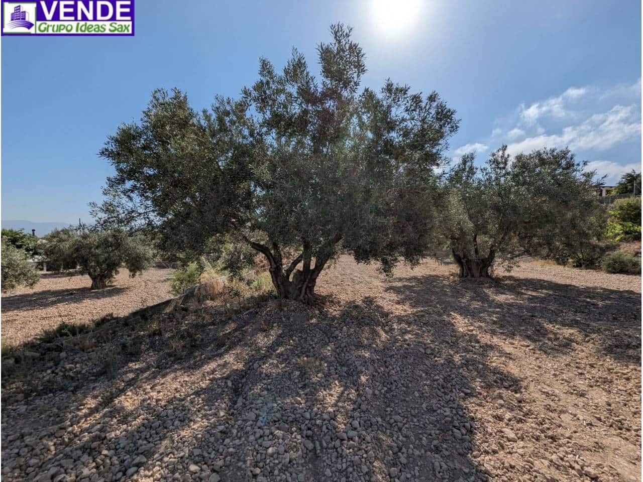 Finca/Herregård til salgs i Camara - € 84 000 (Ref: 8113460)