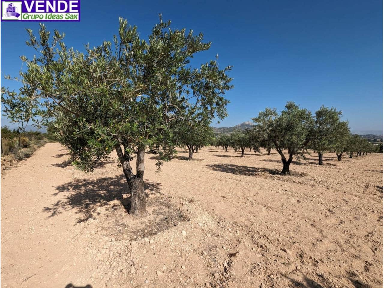 Finca/Herregård til salgs i Camara - € 84 000 (Ref: 8113460)