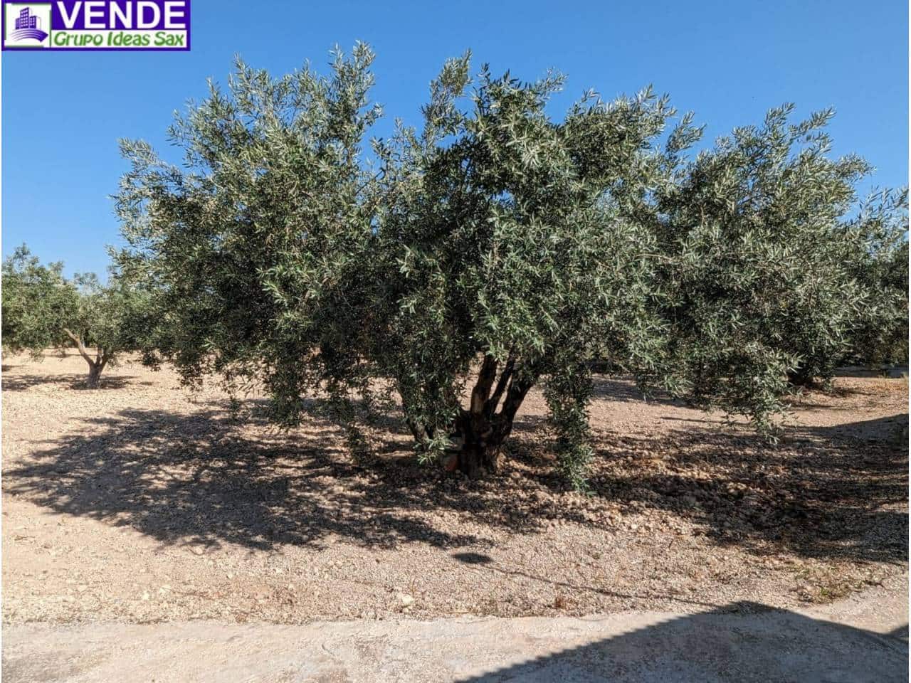 Finca/Herregård til salgs i Camara - € 84 000 (Ref: 8113460)