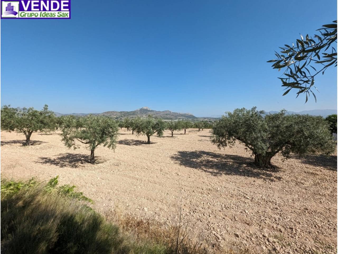 Finca/Herregård til salgs i Camara - € 84 000 (Ref: 8113460)