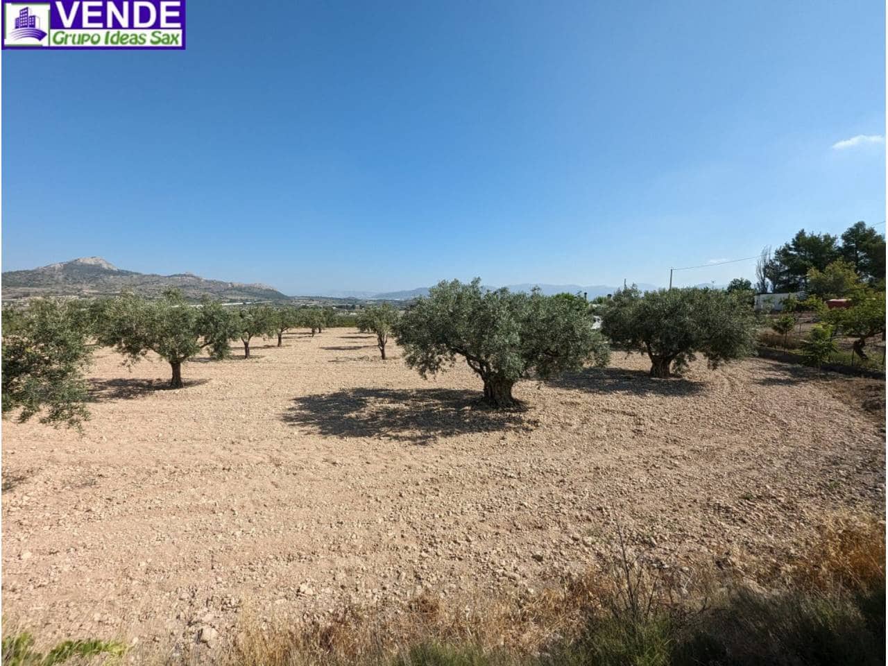 Finca/Herregård til salgs i Camara - € 84 000 (Ref: 8113460)