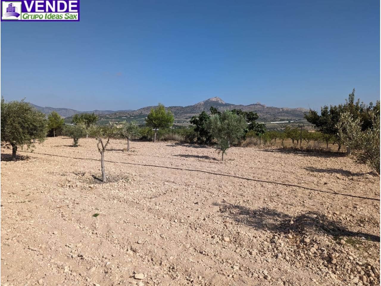 Finca/Herregård til salgs i Camara - € 84 000 (Ref: 8113460)