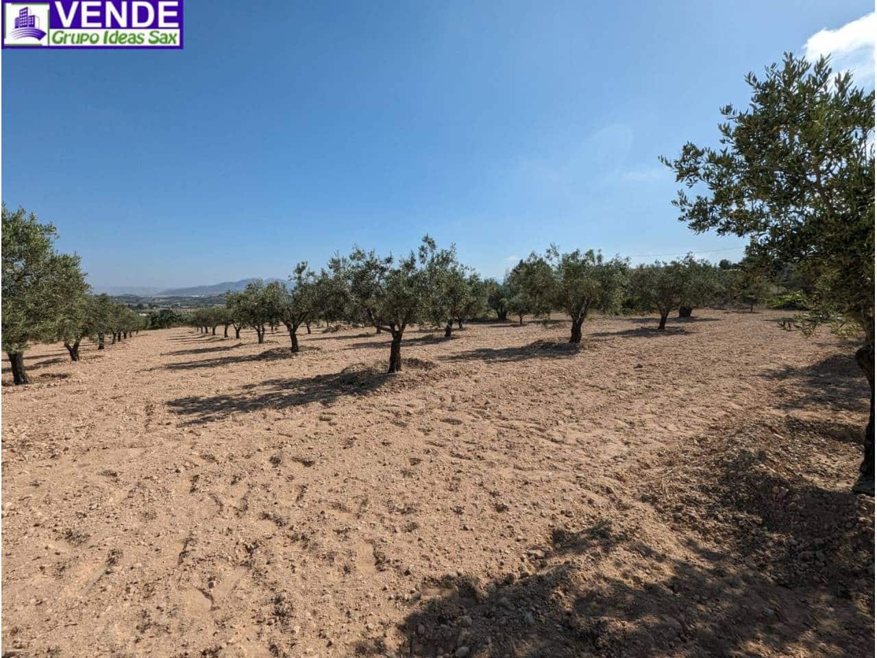 Finca/Herregård til salgs i Camara - € 84 000 (Ref: 8113460)