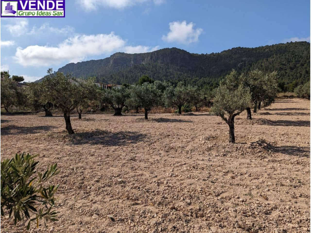 Finca/Herregård til salgs i Camara - € 84 000 (Ref: 8113460)