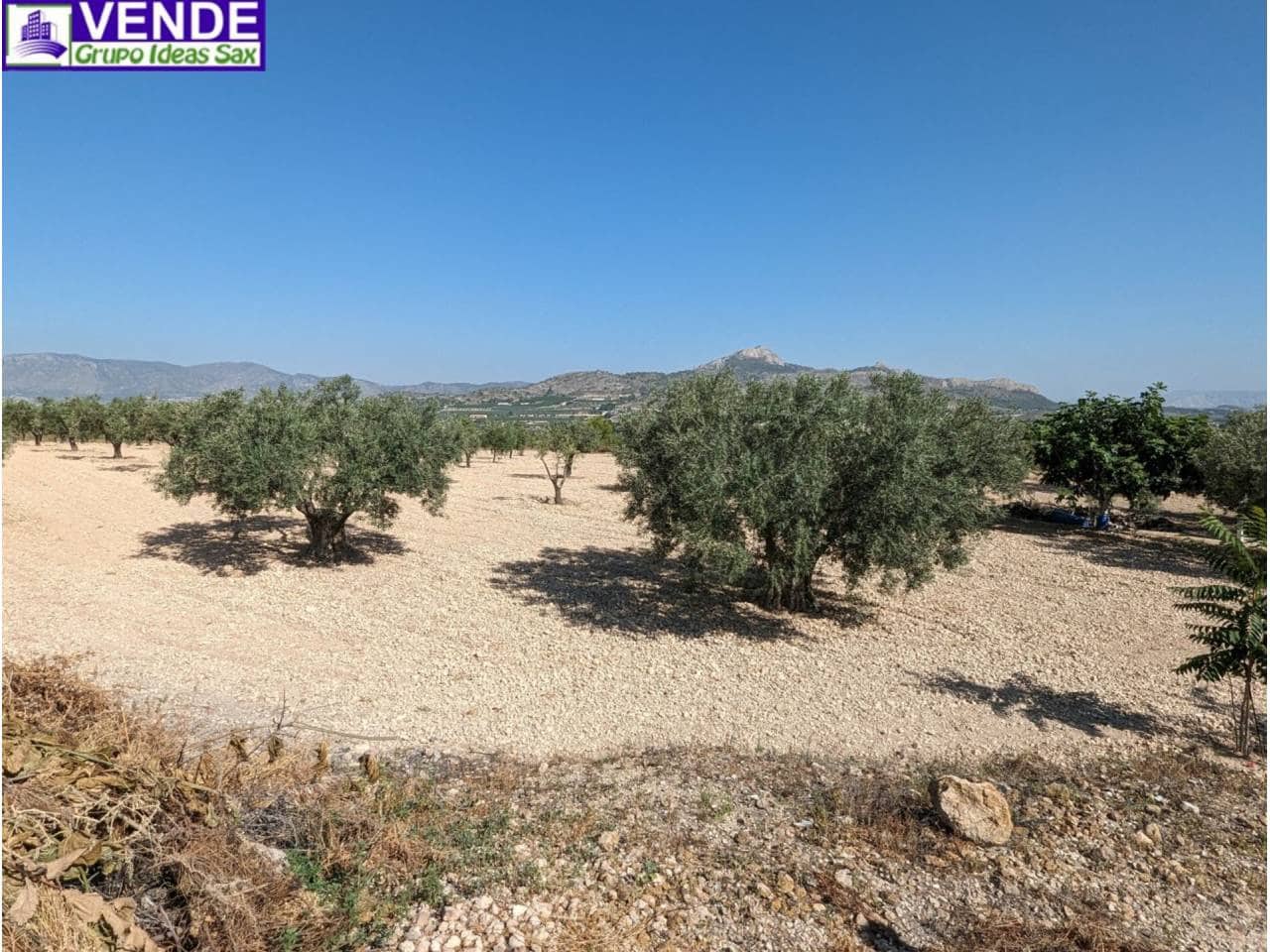 Finca/Herregård til salgs i Camara - € 84 000 (Ref: 8113460)