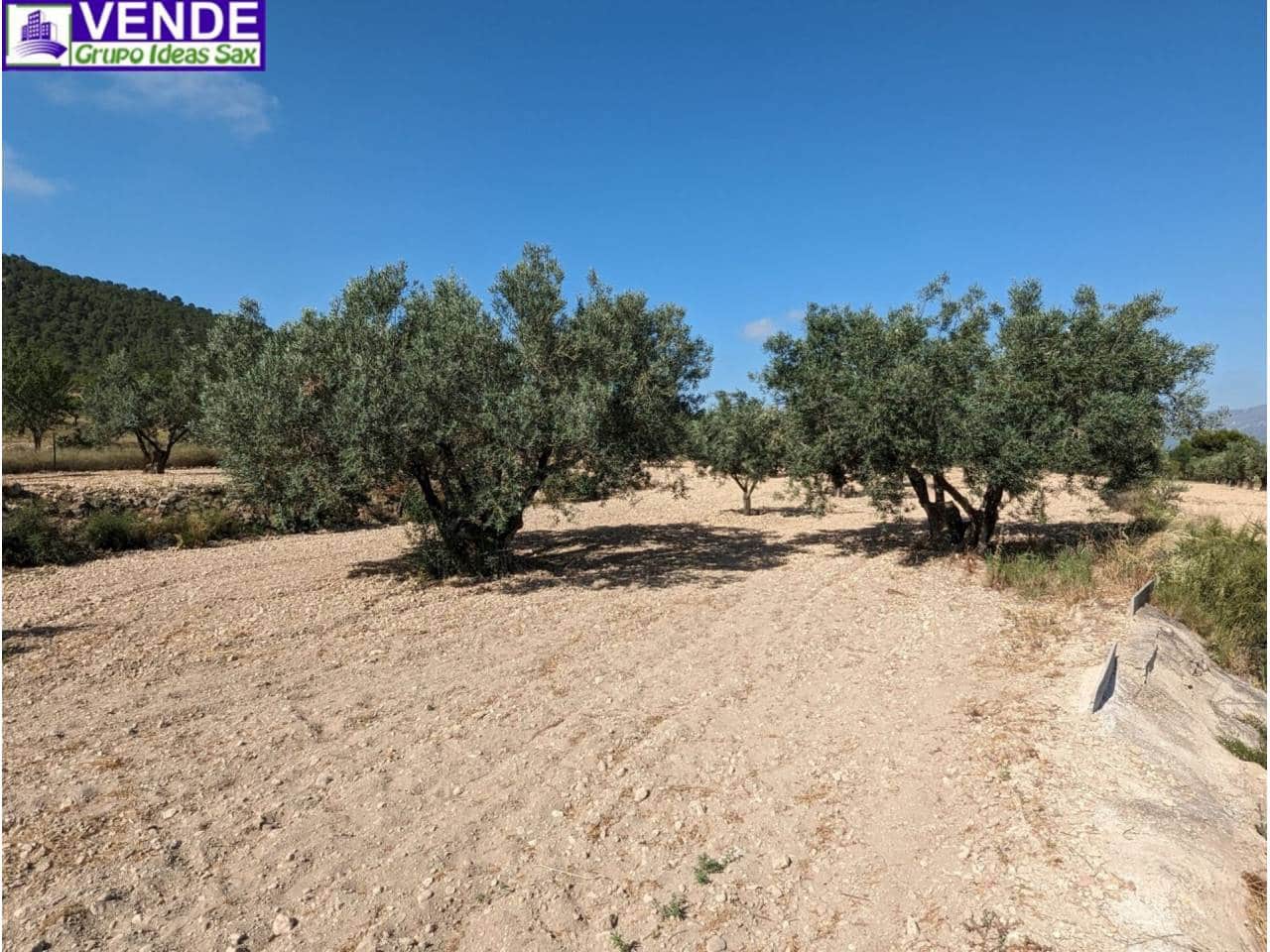 Finca/Herregård til salgs i Camara - € 84 000 (Ref: 8113460)