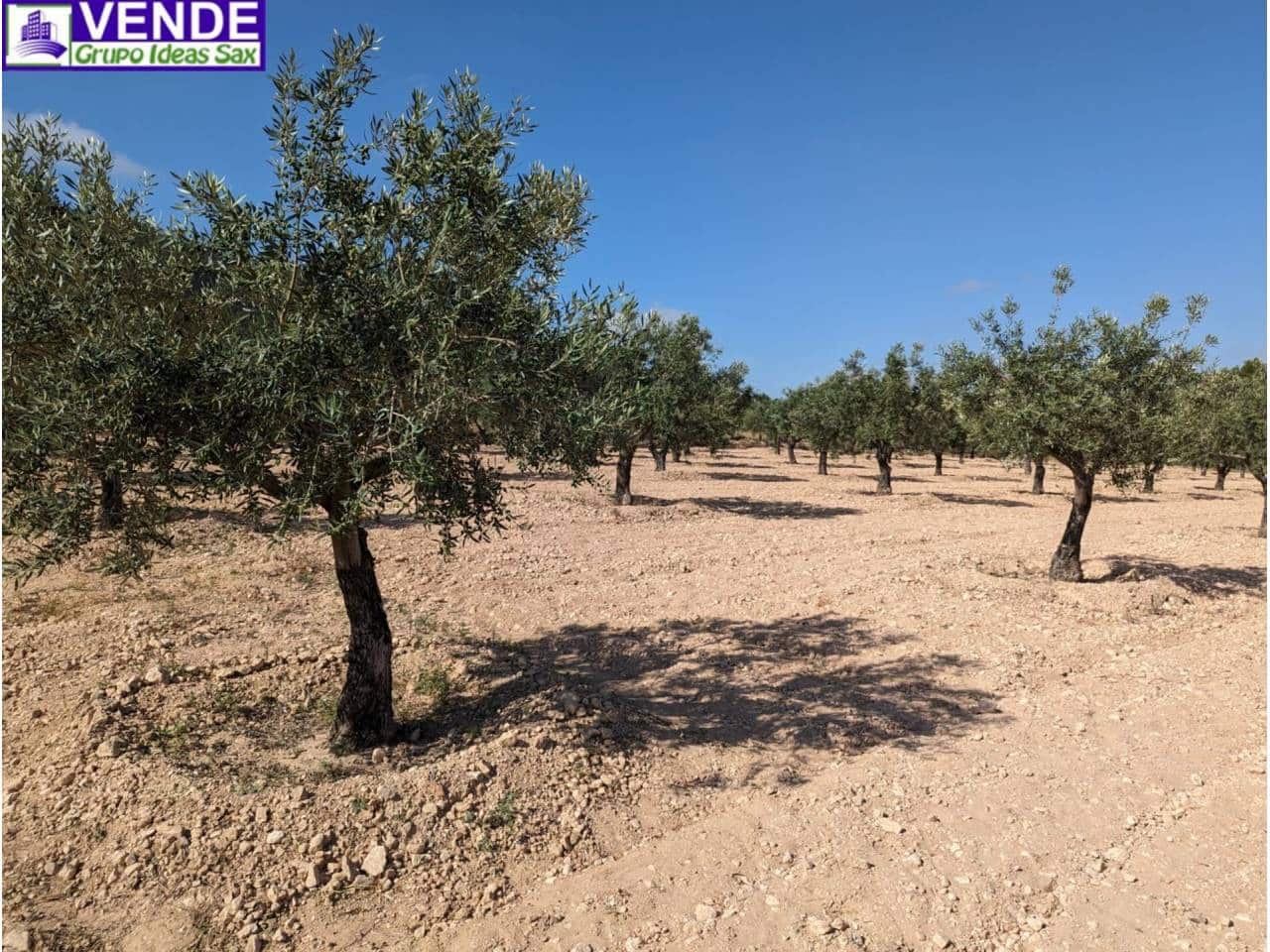 Finca/Herregård til salgs i Camara - € 84 000 (Ref: 8113460)