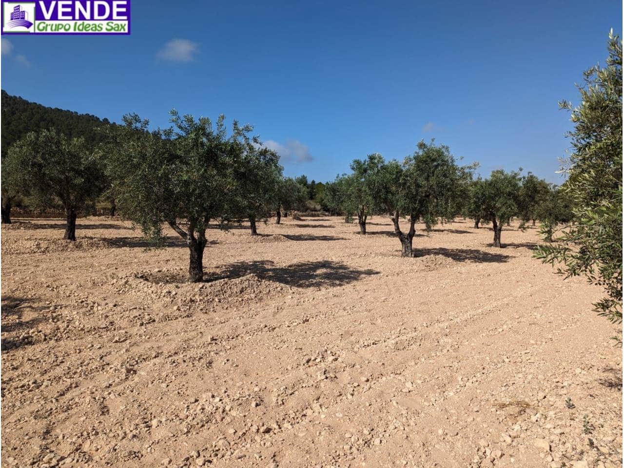 Finca/Herregård til salgs i Camara - € 84 000 (Ref: 8113460)