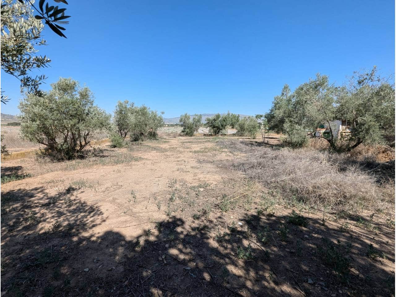 4 slaapkamer Finca/Landhuis te koop in Caudete met zwembad - € 83.000 (Ref: 8467577)