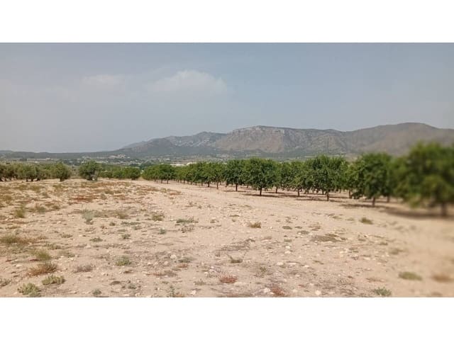 Undeveloped Land for sale in Salinas - € 118,000 (Ref: 9084833)