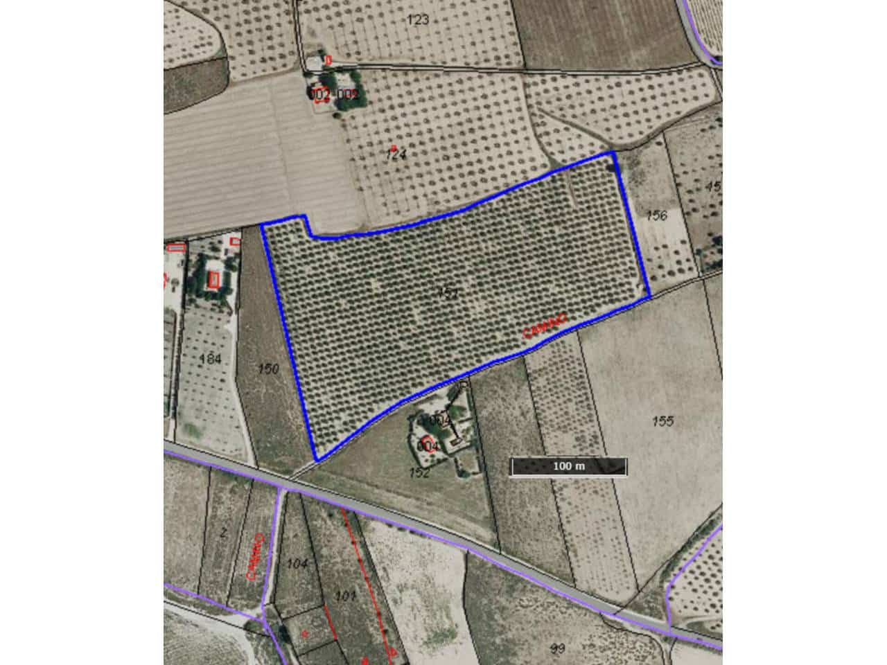 Mark till salu i Salinas - 118 000 € (Ref: 9084833)