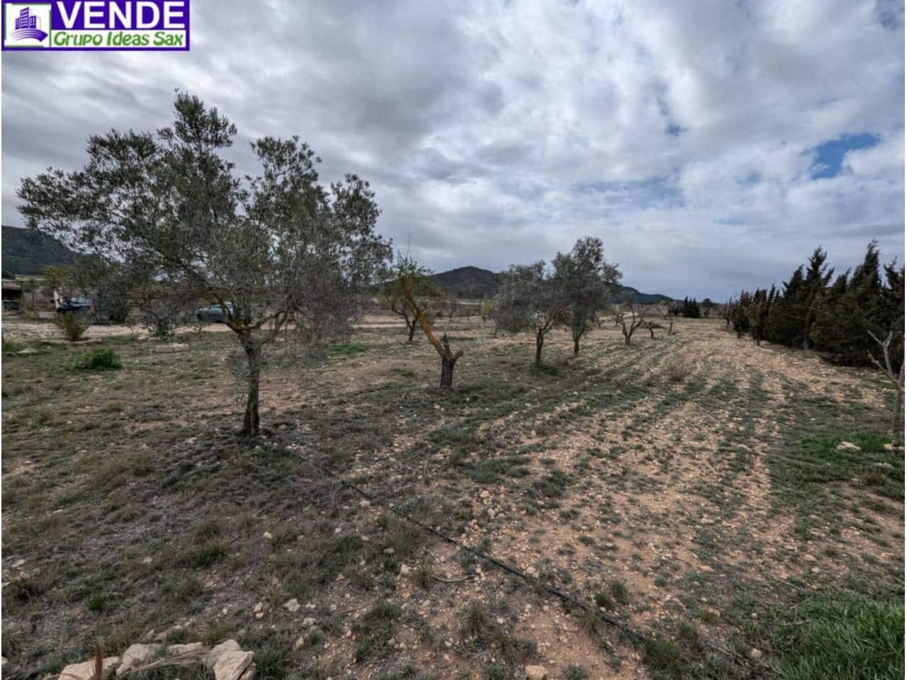 5 soveværelse Finca/Landehus til salg i Salinas - € 189.000 (Ref: 9239513)