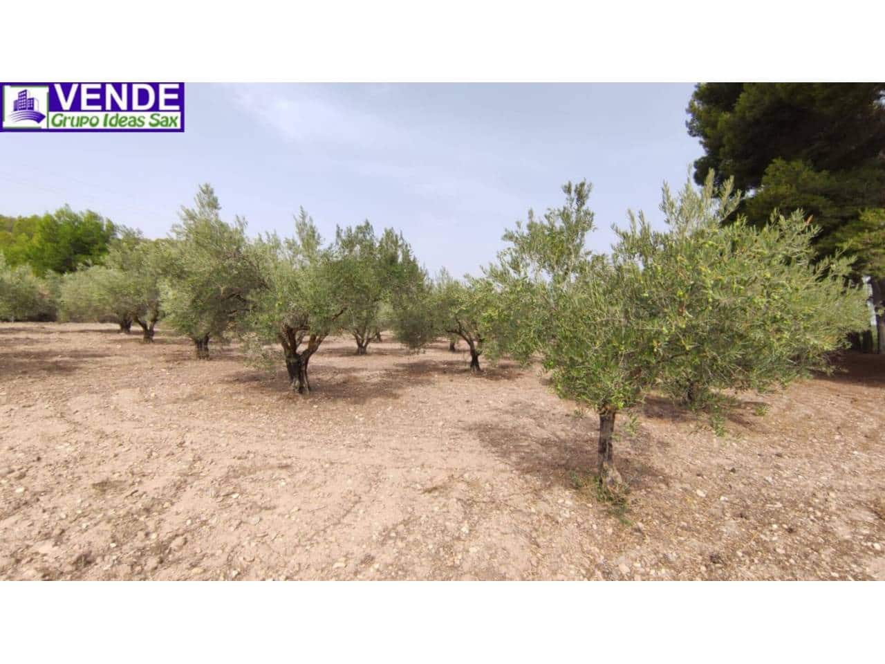 Commercial for sale in Sax with garage - € 160,000 (Ref: 9310343)