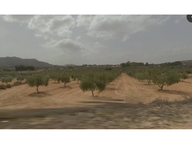 Undeveloped Land for sale in Sax - € 43,600 (Ref: 9421801)