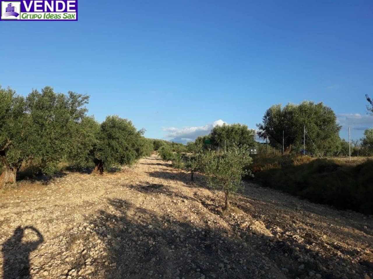 Terreno/Finca Rústica en Sax en venta - 19.900 € (Ref: 9473661)