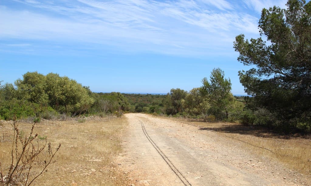 Villa til salgs i Manacor med svømmebasseng - € 1 300 000 (Ref: 3422479)