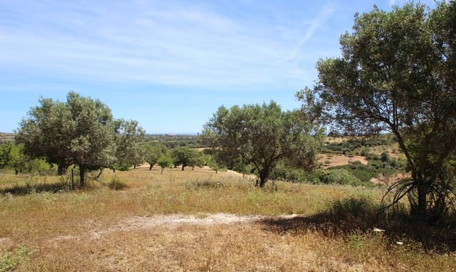 Villa til salgs i Manacor med svømmebasseng - € 1 300 000 (Ref: 3422479)