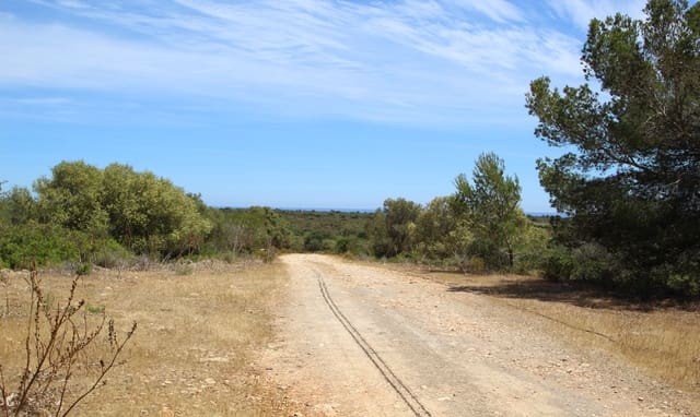 Villa til salgs i Manacor med svømmebasseng - € 1 300 000 (Ref: 3422479)