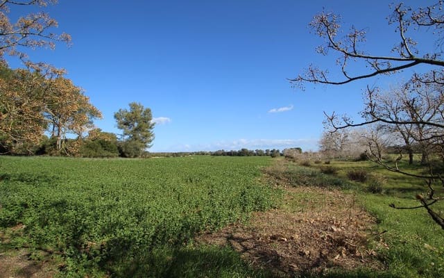 Grond te koop in María de la Salud / María de la Salut - € 850.000 (Ref: 4568821)