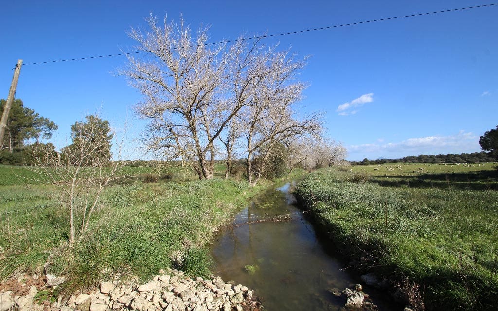 Grunde uden byggetilladelser til salg i Maria de la Salud / Maria de la Salut - € 850.000 (Ref: 4568821)