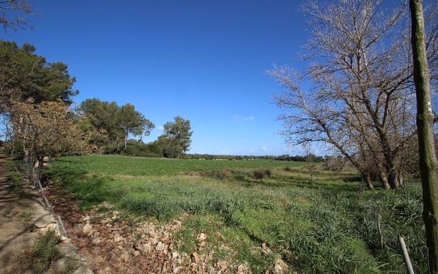 Grond te koop in María de la Salud / María de la Salut - € 850.000 (Ref: 4568821)