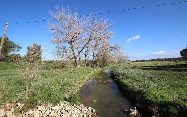 Grond te koop in María de la Salud / María de la Salut - € 850.000 (Ref: 4568821)