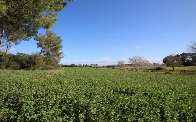 Grond te koop in María de la Salud / María de la Salut - € 850.000 (Ref: 4568821)