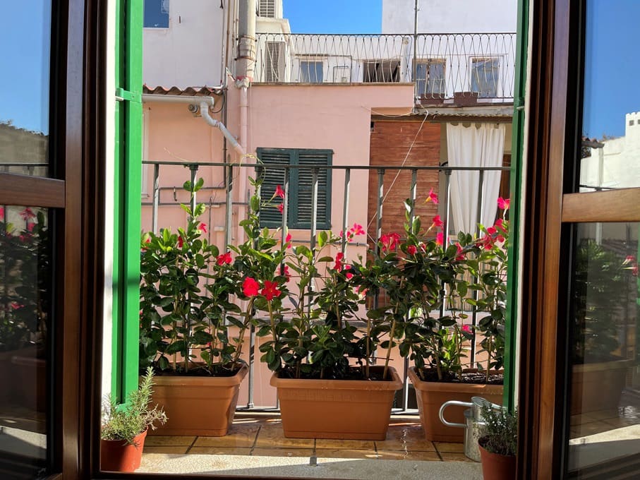 Apartamento de 1 habitación en Palma de Mallorca en alquiler - 1.500 € (Ref: 4828303)