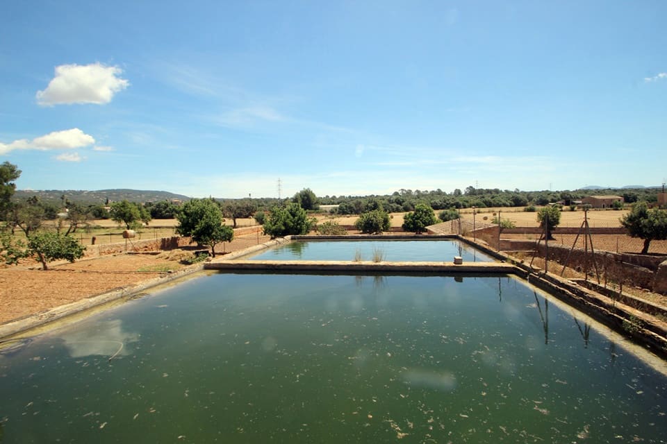 5 sypialnia Willa na sprzedaż w Puntiro z basenem garażem - 2 500 000 € (Ref: 5350651)