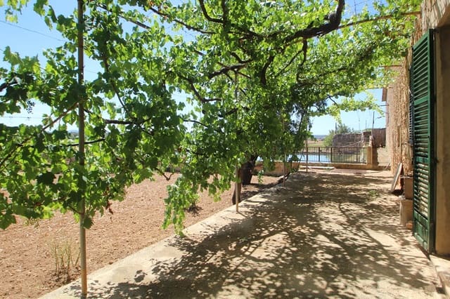 5 sypialnia Willa na sprzedaż w Puntiró, Palma de Mallorca z basenem garażem - 2 500 000 € (Ref: 5350651)