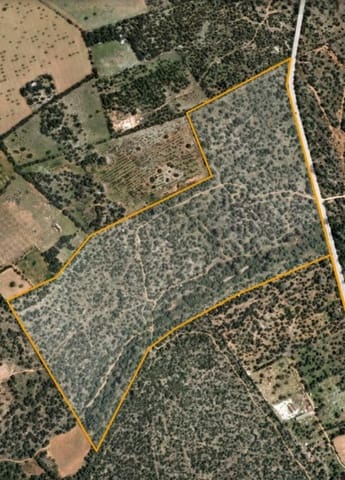 Rakentamaton maa myytävänä paikassa Llucmajor - 980 000 € (Ref: 5969606)