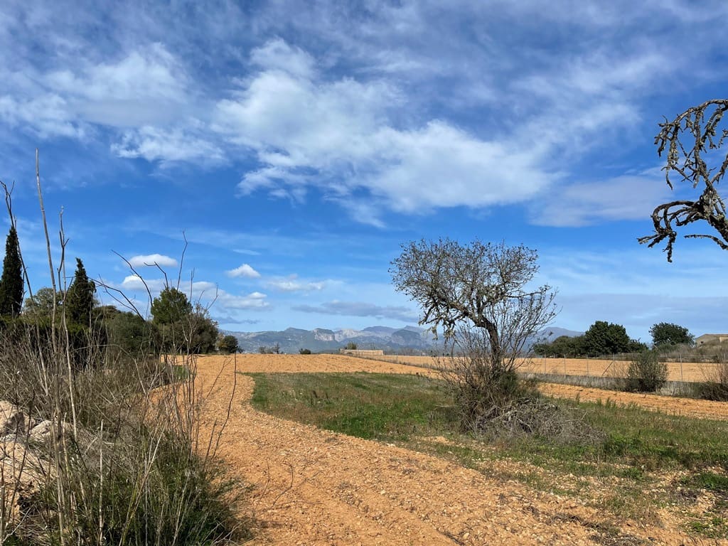 Mark till salu i Santa Eugenia - 240 000 € (Ref: 6429143)