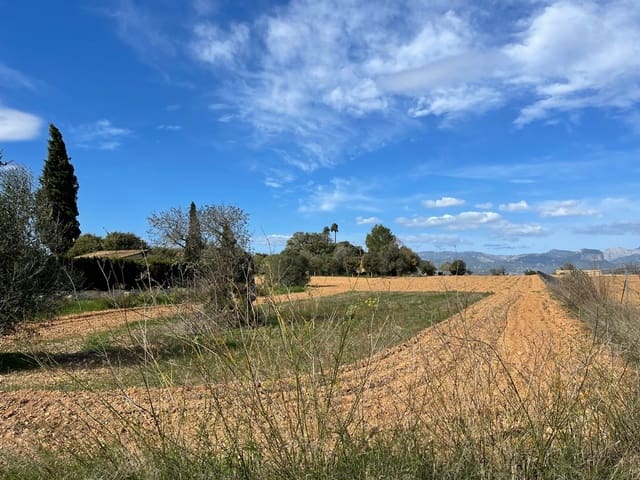 Mark till salu i Santa Eugènia - 240 000 € (Ref: 6429143)