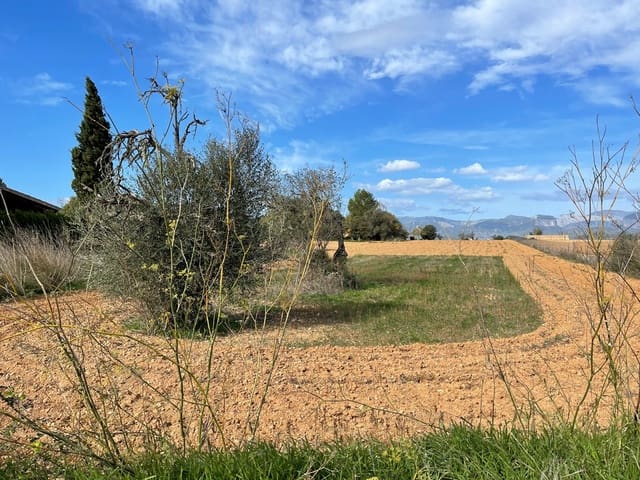 Mark till salu i Santa Eugènia - 240 000 € (Ref: 6429143)