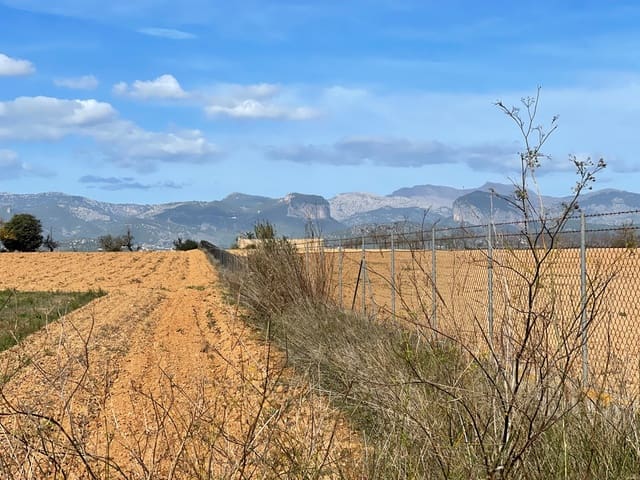 Mark till salu i Santa Eugènia - 240 000 € (Ref: 6429143)