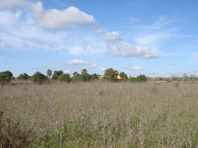 Undeveloped Land for sale in Llucmajor - € 450,000 (Ref: 6440523)