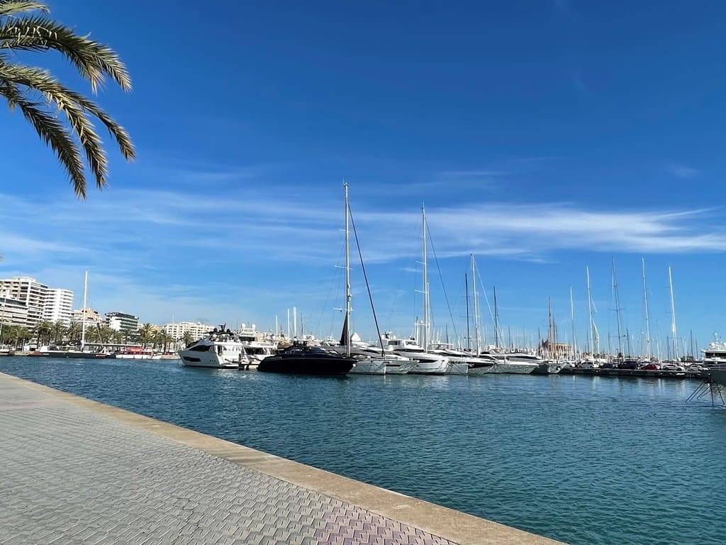 2 bedroom Apartment for rent in Palma de Mallorca - € 1,600 (Ref: 7338229)