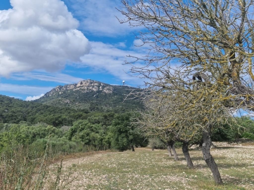 Villa til salgs i Montuiri - € 550 000 (Ref: 7632271)