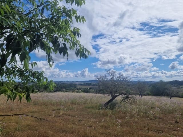 Villa til salg i Montuïri - € 550.000 (Ref: 7632271)