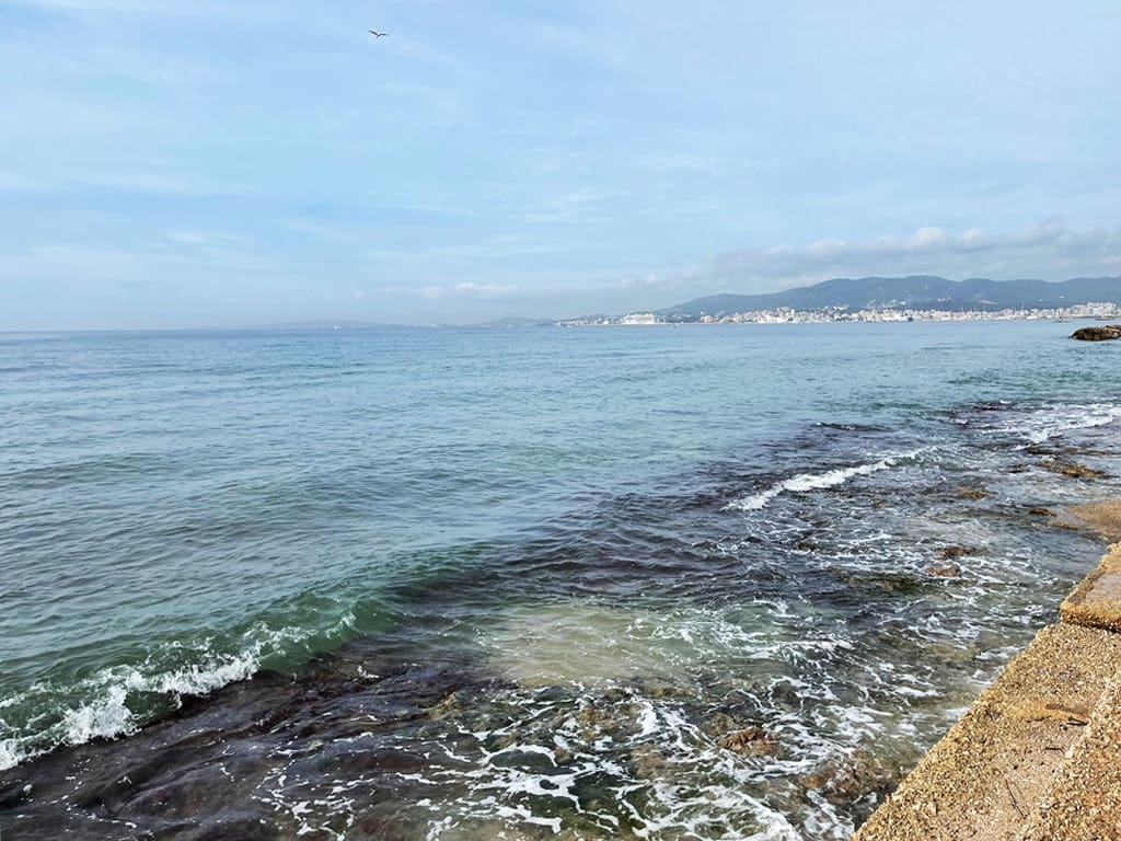 3 Zimmer Apartment zu vermieten in Es Molinar / El Molinar mit Garage - 1.800 € (Ref: 7856965)