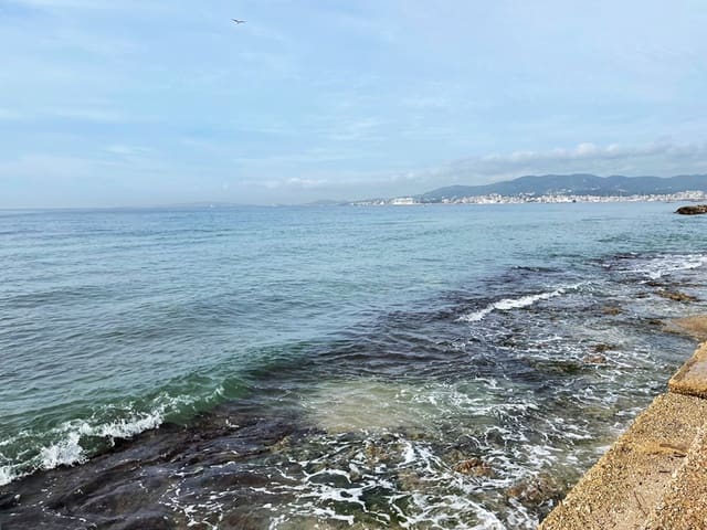 3 bedroom Apartment for rent in Es Molinar / El Molinar, Palma de Mallorca with garage - € 1,800 (Ref: 7856965)