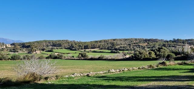 Villa til salg i Montuïri - € 850.000 (Ref: 8153948)