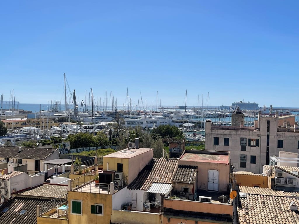 Appartement de 3 chambres à louer à Palma de Mallorca - 1 800 € (Ref: 8153949)