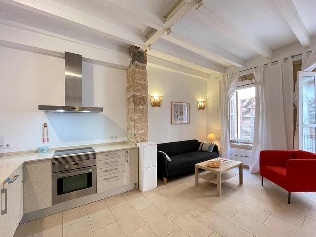 1 sypialnia Apartament do wynajęcia w Palma de Mallorca - 1 250 € (Ref: 8493997)